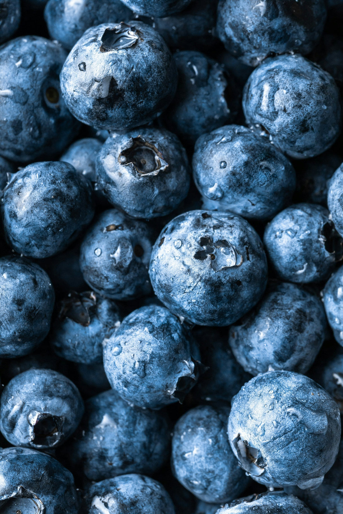Alimentos Antioxidantes Que Encuentras En El Súper